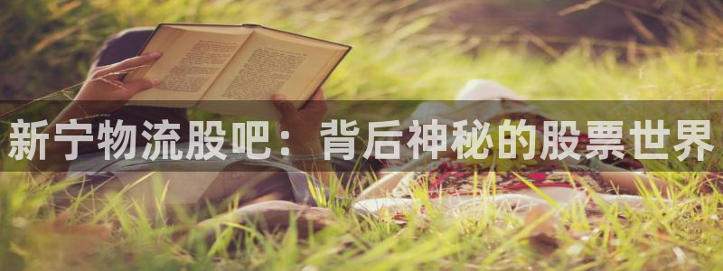 豪门国际官网入口南宫：新宁物流股吧：