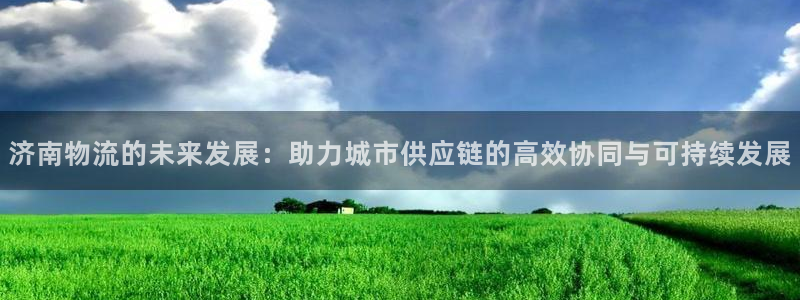 豪门国际官网平台下载：济南物流的未来