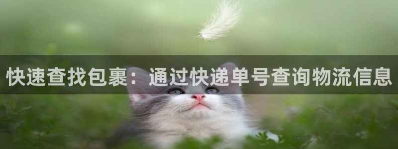 豪门国际如何退款