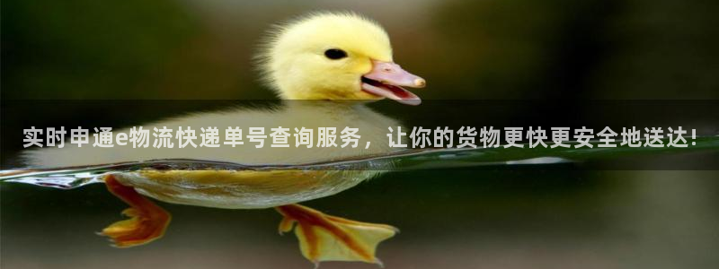 豪门国际官网下载链接是什么：实时申通