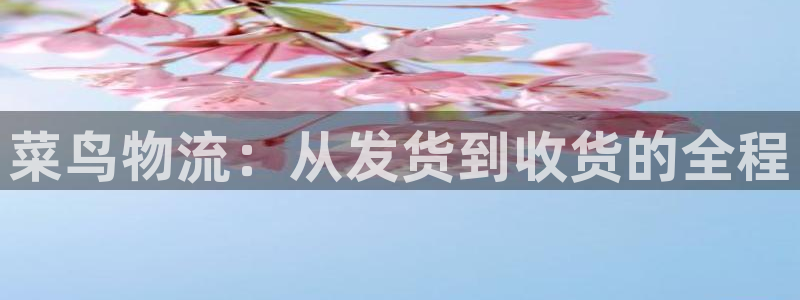 豪门国际官网版下载：菜鸟物流：从发货