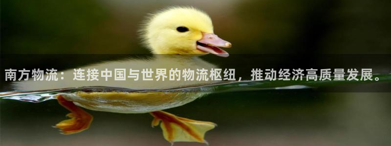 豪门国际免费充钱：南方物流：连接中国