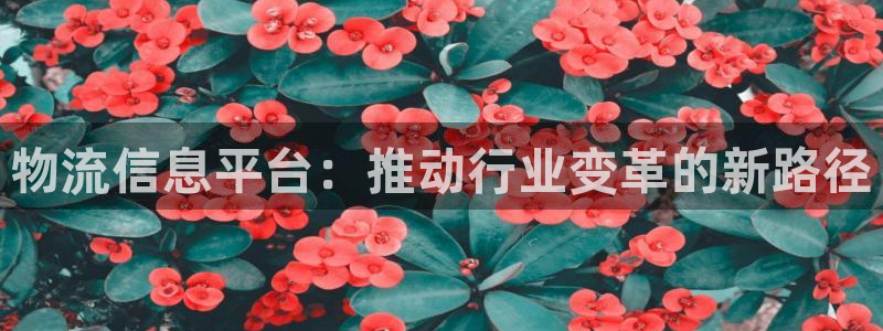 豪门国际自行车图片大全：物流信息平台