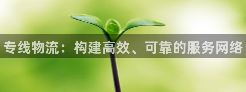 豪门国际链官网：专线物流：构建高效、