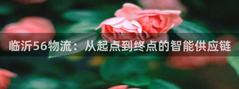 豪门国际违法吗：临沂56物流：从起点