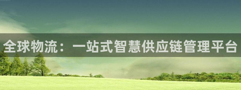 豪门国际账号注册：全球物流：一站式智