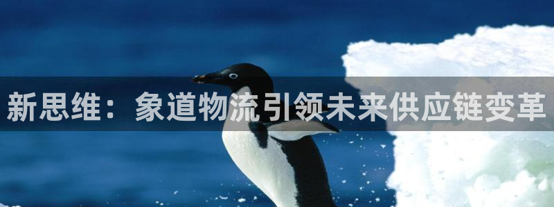 豪门国际女王中奖记录查询：新思维：象