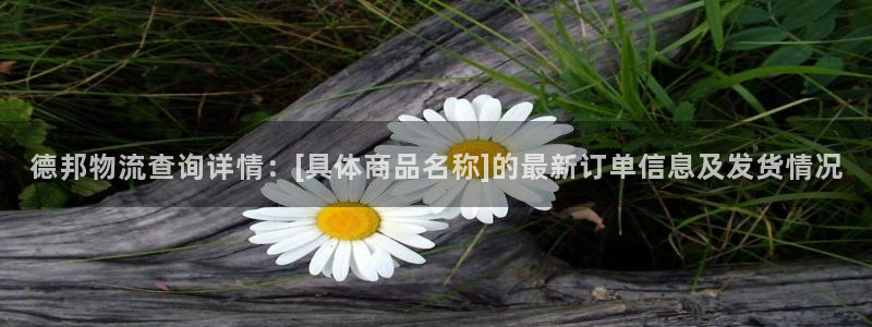 豪门国际大舞台：德邦物流查询详情：[