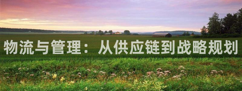 豪门国际加拿大：物流与管理：从供应链到战略规划