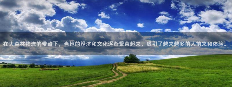 豪门国际口内径是多大：在大森林物流的