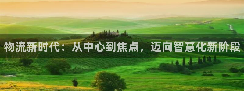 豪门国际注册上限是啥意思：物流新时代