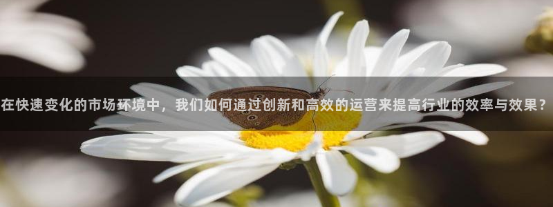豪门国际注册网页版：在快速变化的市场