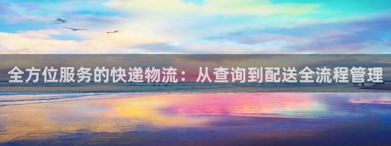 豪门国际PG电子游戏：全方位服务的快递物流：从查询到配送全流